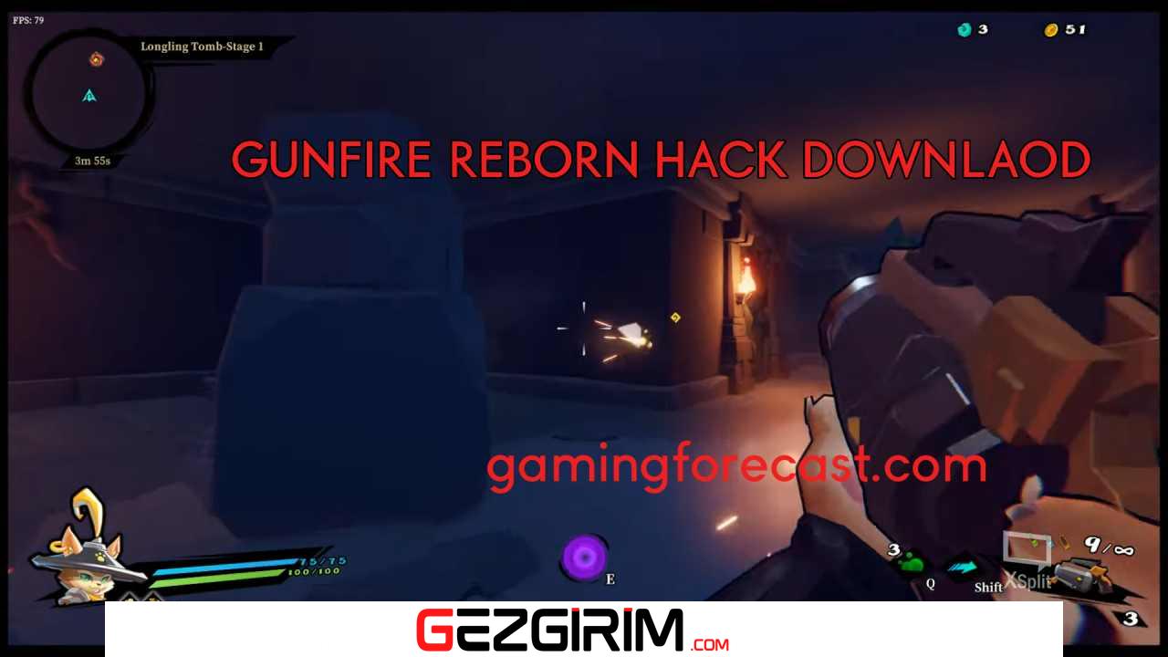 Gunfire Reborn Hack