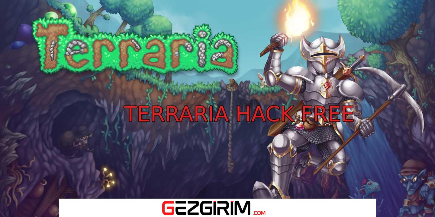 Terraria Hack